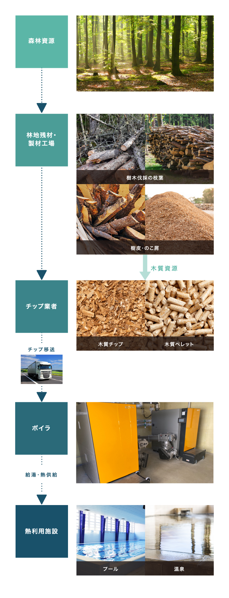 木質バイオマスにおける熱供給サービスイメージ図